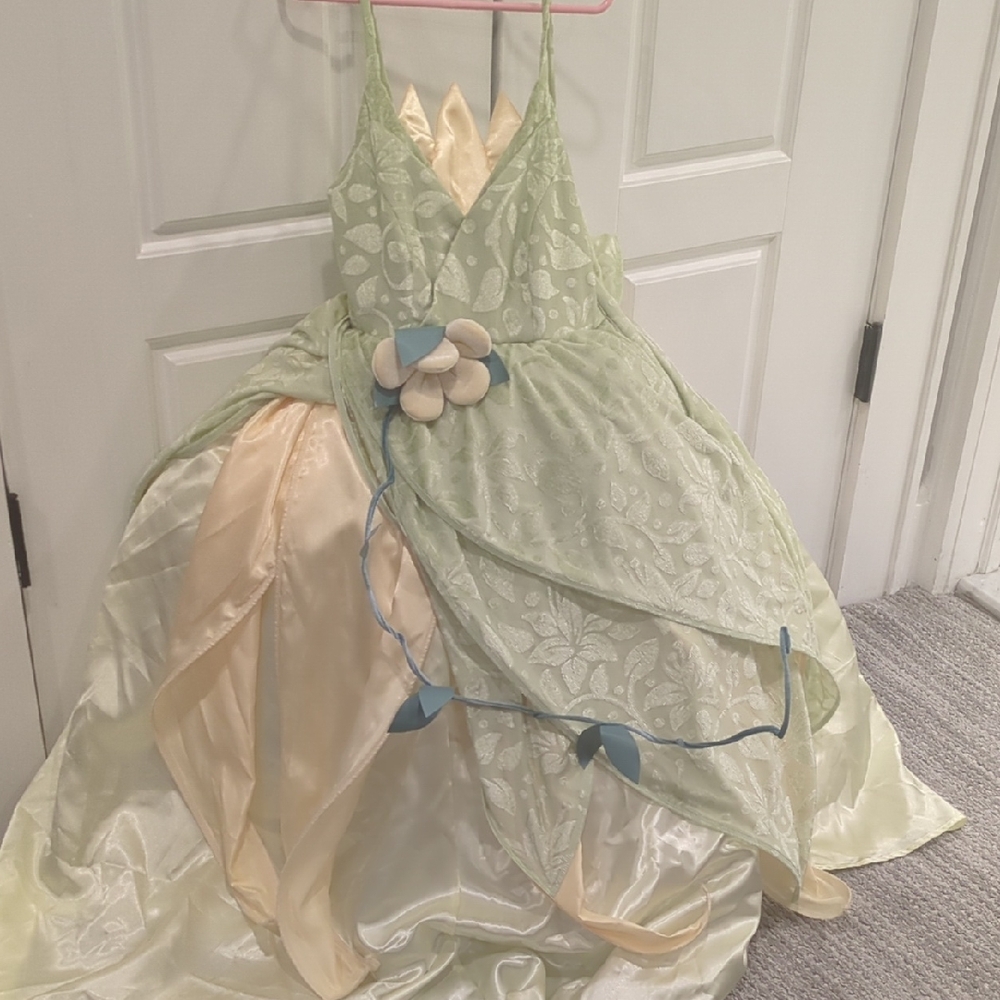 Disney Princess Tiana Green and Cream Costume